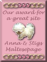 Anna & Stigs award