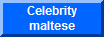 Celebrity Maltese Owners