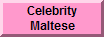 Celebrity Mlatese Owners