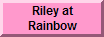 Riley at Rainbow Bridge