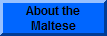 About the Maltese